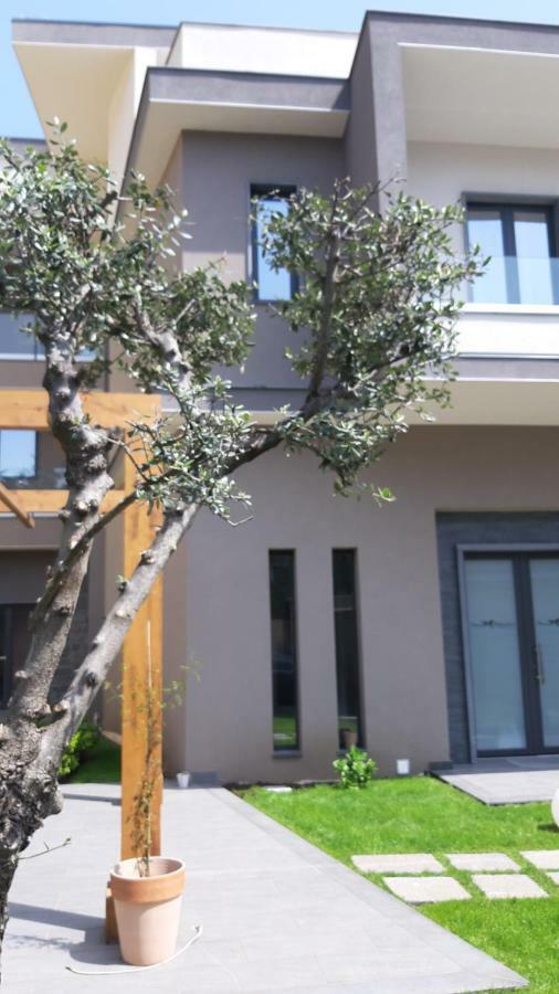 Anna & Alfredo Bed And Breakfast Zafferana Etnea Dış mekan fotoğraf