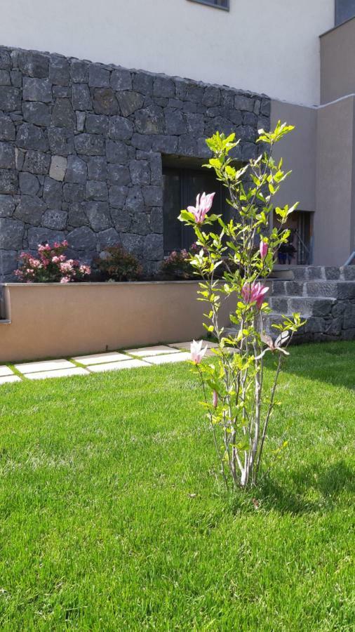 Anna & Alfredo Bed And Breakfast Zafferana Etnea Dış mekan fotoğraf